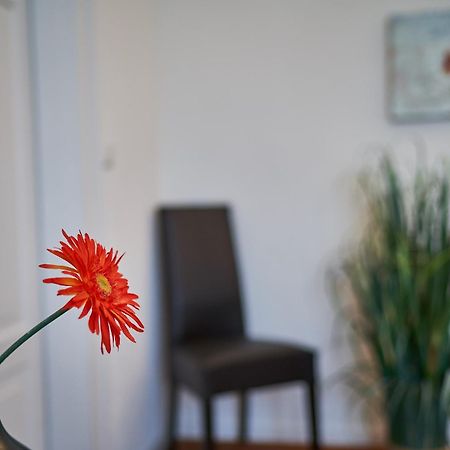 フリードリヒスハーフェンCasa Pinosアパートメント エクステリア 写真